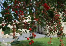 Agroturismo Arkaia – A Combination of Rest, Nature and A Cultural Agenda Agroturismo Arkaia