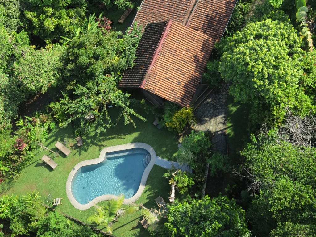 Dance in the tropics of Tiskita Jungle Lodge