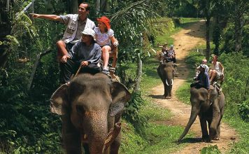 Can Elephant Trekking Ever Really be Ethical? Elephant Trekking