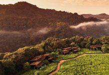 One&Only’s Luxe New Experience in Rwanda Lets You Trek With Gorillas One and Only