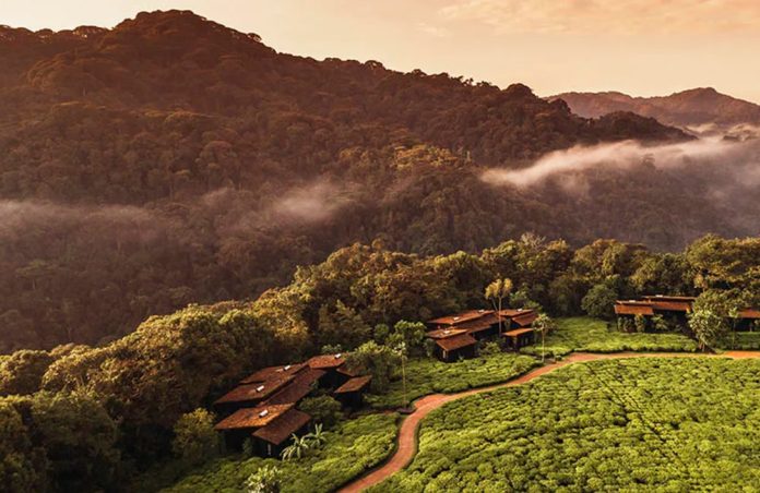 one-only-nyungwe-house One and Only