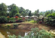 The Rio Cuasa Ecolodge Is Committed to Tourist Integration in Ecuadorian Rainforest Rio Cuasa Ecolodge