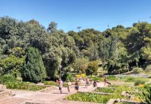 Best 10 Parks in Barcelona Mossèn Cinto Verdaguer Garden