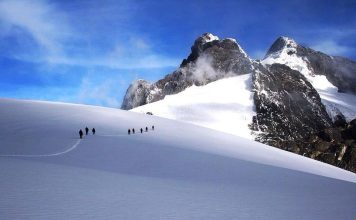 Can the Rwenzori Mountains be Saved? Rwenzori Mountains