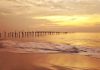 All is well at Alappuzha! Alappuzha