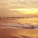 All is well at Alappuzha! Alappuzha