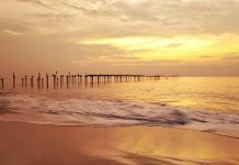 All is well at Alappuzha! Alappuzha